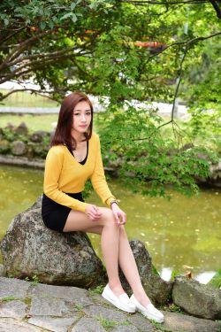 大侠霍元甲多少集